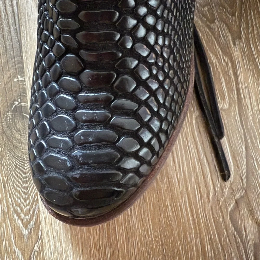 Freebird Coal black Snake - Picture 8 of 9